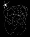 II.Bullmast. Leb. 170x135.jpg
