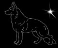 I Ger. Shep. 2. 185x150.jpg