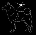 V Norsk. Buhund. 140x135.jpg
