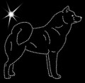 V Finn. Spitz. 145x135.jpg