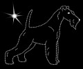 III Fox terrier wire .jpg