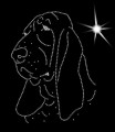 VI Basset. Hound Leb.. 180x140.jpg