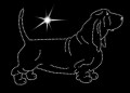 VI Basset. Hound. 185x130.jpg