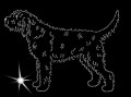 VI Otter. Hound. 190x135.jpg