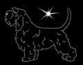 VI Petit. Basset. Griffon. Vende.. 165x125.jpg
