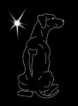 VI Rhodesian. Ridgeback. 165x90.jpg