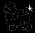 I Old. English. Sheepdog. Bobtail. 2. 160x175.jpg