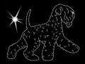 II Black. Russian. Terrier. move. 190x150.jpg