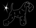 III Kerry. Blue. Terrier.  sylwetka. 170x135.jpg