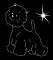 III West. Highland. White. Terrier.  Doll. Face. 165x135.jpg