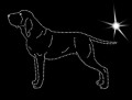 VII Bracco. Italiano.  185x135.jpg