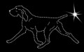 VII Bracco. Italiano. move. 195x120.jpg