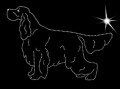 VII Gordon. Setter.  205x145.jpg