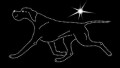 VII Pointer. move. 185x100.jpg