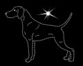 VII Weimaraner.  170x140.jpg