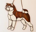 AKITA INU Z CZEKOLADA.JPG