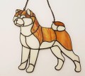 AKITA INU Z PŁOWYM.JPG