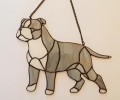 AMERICAN STAFORDSHIRE TERRIER SZARY.JPG