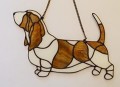 BASSET HOUND BIAŁO-PŁOWY.JPG