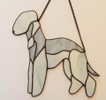 BEDLINGTON TERRIER BŁEKITNY.JPG
