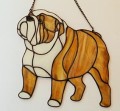BULLDOG ANGIELSKI PŁOWO BIAŁY.JPG