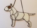BULLTERRIER Z BRĄZOWYM MONOKLEM.JPG