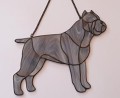 CANE CORSO ITALIANO SZARE CIĘTE.JPG