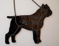 CANE CORSO ITALIANO CZARNE CIĘTE.JPG