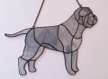 CANE CORSO ITALIANO SZARE.JPG