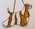 COCKER SPANIEL AMERYKAŃSKI BIAŁYW PŁOWE ŁATY.JPG