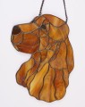 COCKER SPANIEL ANGIELSKI ZŁOTY GŁOWA.JPG