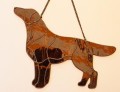 FLAT COATED RETRIEVER CZEKOLADOWY.JPG