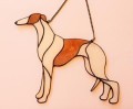 GREYHOUND BIAŁY Z PŁOWYM.JPG