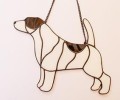 JACK RUSSELL TERIER CZEKOLADOWE ŁATY.JPG