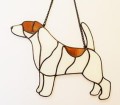 JACK RUSSELL TERIER Z PŁOWYM.JPG