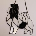 PAPILLON CZARNO-BIAŁY.JPG
