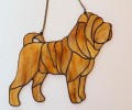 SHAR-PEI PŁOWY.JPG