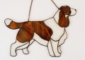 SPRINGER SPANIEL ANGIELSKI CZEKOLADOWO-BIAŁY.JPG