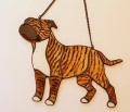 STAFFORDSHIRE BULL TERRIER PŁOWY PRĘGOWANY.JPG