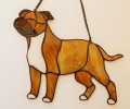 STAFFORDSHIRE BULL TERRIER PŁOWY.JPG