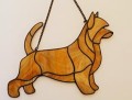 TERRIER AUSTRALIJSKI PŁOWY.JPG
