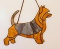 TERRIER AUSTRALIJSKI SREBRNO-PŁOWY.JPG