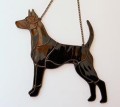 THAI RIDGEBACK CZARNY.JPG