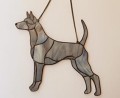 THAI RIDGEBACK SZARY.JPG