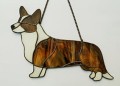 WELSH CORGI CARDIGAN CZEKOLADOWY.JPG