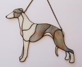 WHIPPET SZARY Z BIAŁYM.JPG