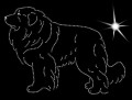 II Pyren. Mount. Dog. 215x155.jpg