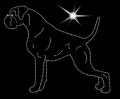 II.Boxer. 1.175x145.jpg