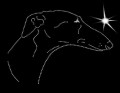 X Span.. Galgo. Smoo. Leb. 195x135.jpg