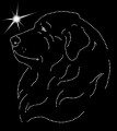 II Pyren. Mount. Dog. Leb.  185x170.jpg